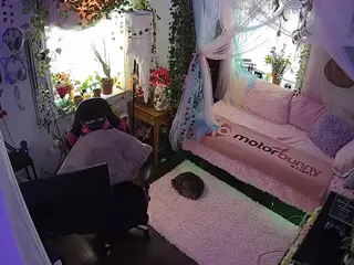 voyeurcam veccasalt 01's Live Sex Cam Show
