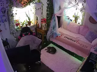 voyeurcam veccasalt 01's Live Sex Cam Show