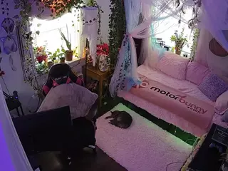 voyeurcam veccasalt 01's Live Sex Cam Show
