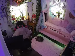 voyeurcam veccasalt 01's Live Sex Cam Show