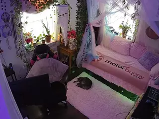 voyeurcam veccasalt 01's Live Sex Cam Show