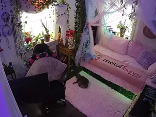 voyeurcam veccasalt 01's Live Sex Cam Show