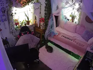voyeurcam veccasalt 01's Live Sex Cam Show