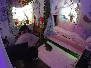 voyeurcam veccasalt 01's Live Sex Cam Show