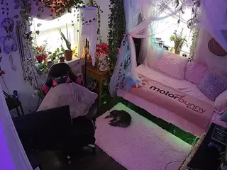 voyeurcam veccasalt 01's Live Sex Cam Show