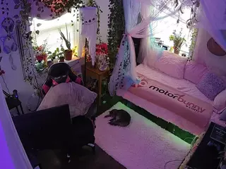 voyeurcam veccasalt 01's Live Sex Cam Show