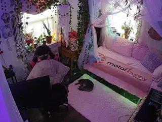 voyeurcam veccasalt 01's Live Sex Cam Show
