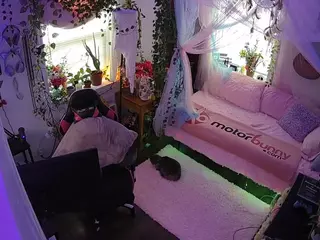 voyeurcam veccasalt 01's Live Sex Cam Show