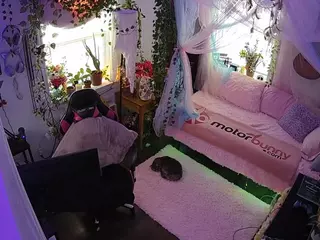 voyeurcam veccasalt 01's Live Sex Cam Show