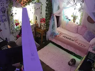 voyeurcam veccasalt 01's Live Sex Cam Show