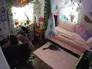 voyeurcam veccasalt 01's Live Sex Cam Show