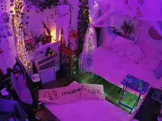 voyeurcam veccasalt 01's Live Sex Cam Show