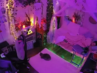 voyeurcam veccasalt 01's Live Sex Cam Show