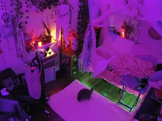 voyeurcam veccasalt 01's Live Sex Cam Show