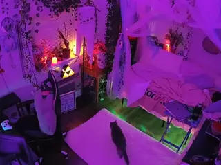 voyeurcam veccasalt 01's Live Sex Cam Show