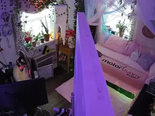 voyeurcam veccasalt 01's Live Sex Cam Show