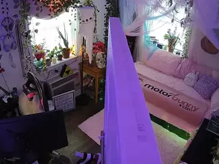voyeurcam veccasalt 01's Live Sex Cam Show