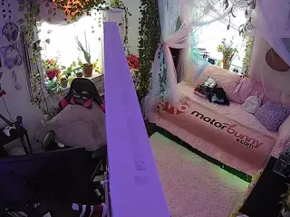 voyeurcam veccasalt 01's Live Sex Cam Show