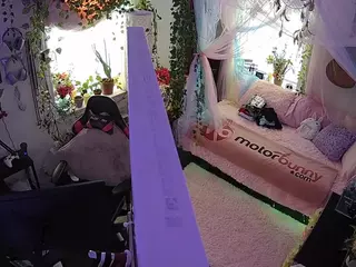 voyeurcam veccasalt 01's Live Sex Cam Show