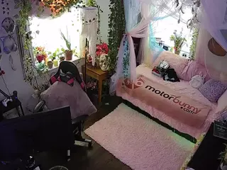 voyeurcam veccasalt 01's Live Sex Cam Show