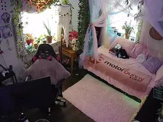 voyeurcam veccasalt 01's Live Sex Cam Show