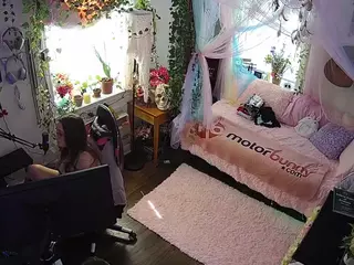 voyeurcam veccasalt 01's Live Sex Cam Show