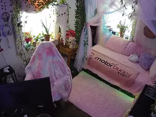 voyeurcam veccasalt 01's Live Sex Cam Show