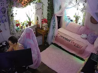 voyeurcam veccasalt 01's Live Sex Cam Show