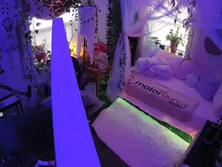voyeurcam veccasalt 01's Live Sex Cam Show