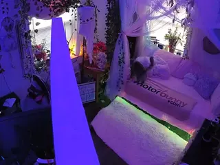 voyeurcam veccasalt 01's Live Sex Cam Show