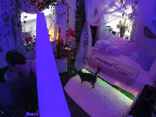 voyeurcam veccasalt 01's Live Sex Cam Show