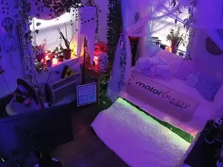 voyeurcam veccasalt 01's Live Sex Cam Show