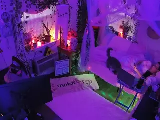 voyeurcam veccasalt 01's Live Sex Cam Show