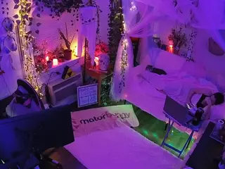 voyeurcam veccasalt 01's Live Sex Cam Show