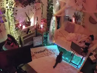 voyeurcam veccasalt 01's Live Sex Cam Show