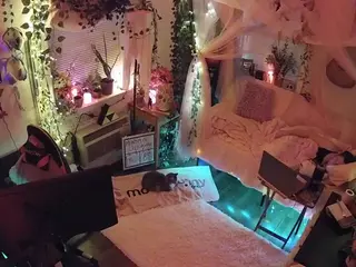 voyeurcam veccasalt 01's Live Sex Cam Show
