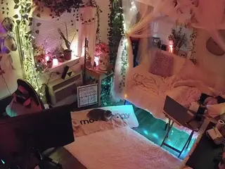 voyeurcam veccasalt 01's Live Sex Cam Show