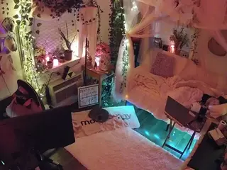 voyeurcam veccasalt 01's Live Sex Cam Show
