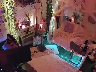 voyeurcam veccasalt 01's Live Sex Cam Show