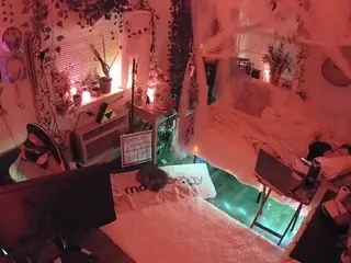 voyeurcam veccasalt 01's Live Sex Cam Show
