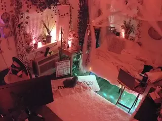 voyeurcam veccasalt 01's Live Sex Cam Show