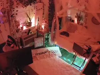 voyeurcam veccasalt 01's Live Sex Cam Show