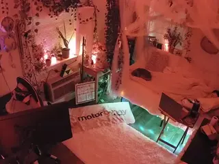voyeurcam veccasalt 01's Live Sex Cam Show