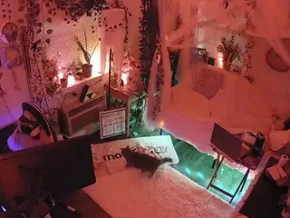 voyeurcam veccasalt 01's Live Sex Cam Show