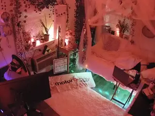 voyeurcam veccasalt 01's Live Sex Cam Show