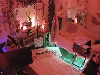 voyeurcam veccasalt 01's Live Sex Cam Show