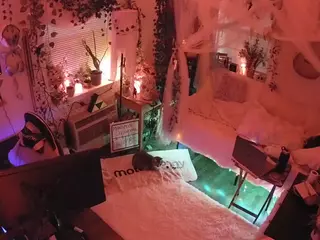 voyeurcam veccasalt 01's Live Sex Cam Show