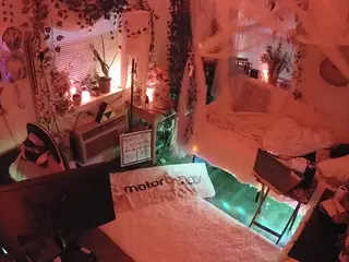 voyeurcam veccasalt 01's Live Sex Cam Show