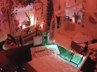 voyeurcam veccasalt 01's Live Sex Cam Show