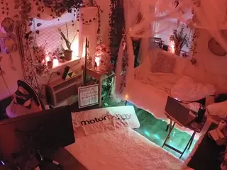 voyeurcam veccasalt 01's Live Sex Cam Show